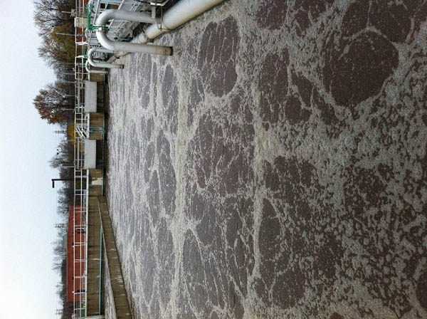 Bể hiếu khí diễn ra quá trình Nitrat hóa.