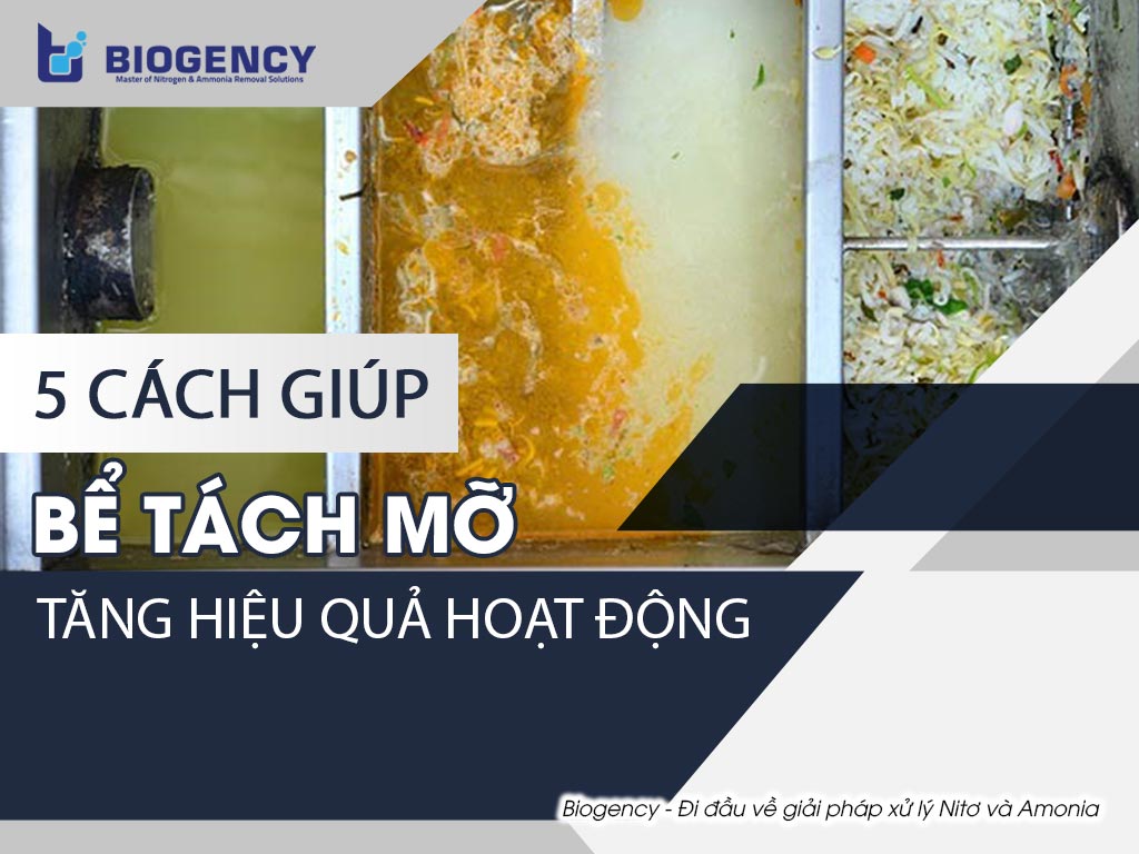 5 cách giúp Bể tách mỡ tăng hiệu quả hoạt động