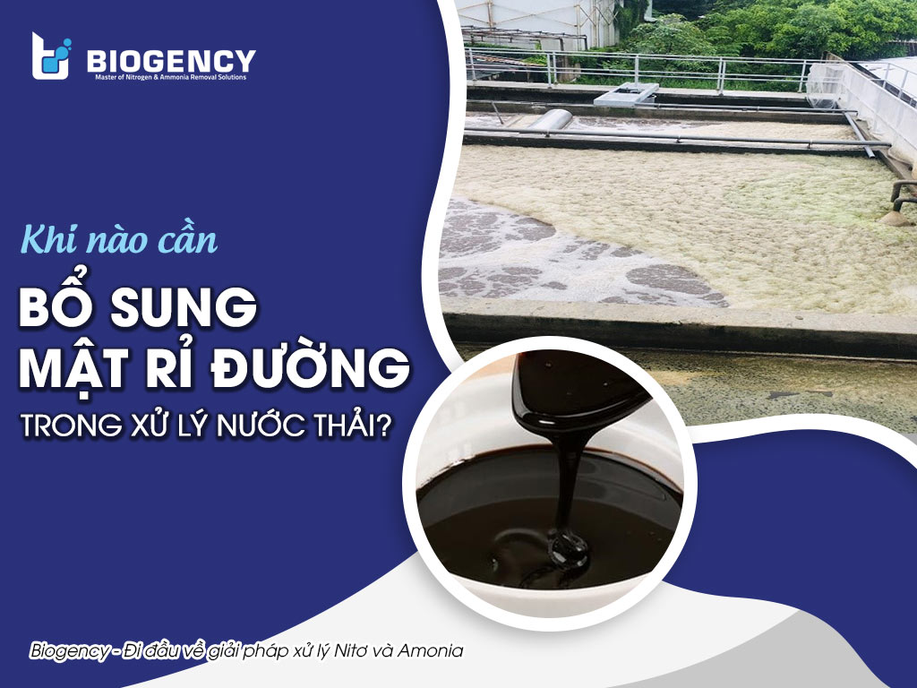 Khi nào cần bổ sung mật rỉ đường trong xử lý nước thải?