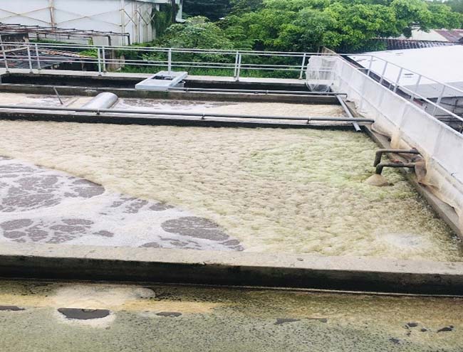 Bọt nổi tại bể hiếu khí do tỷ lệ dinh dưỡng không đảm bảo.