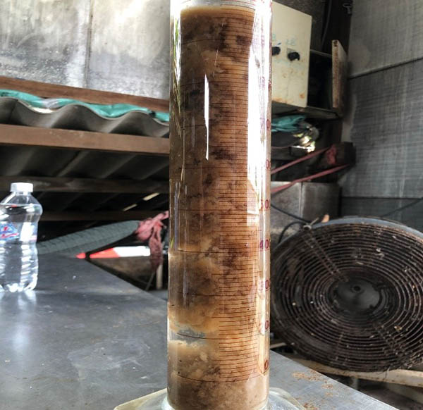 Bùn hoạt tính ở bể Anoxic.