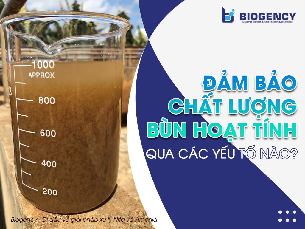 Đảm bảo chất lượng bùn hoạt tính qua các yếu tố nào?