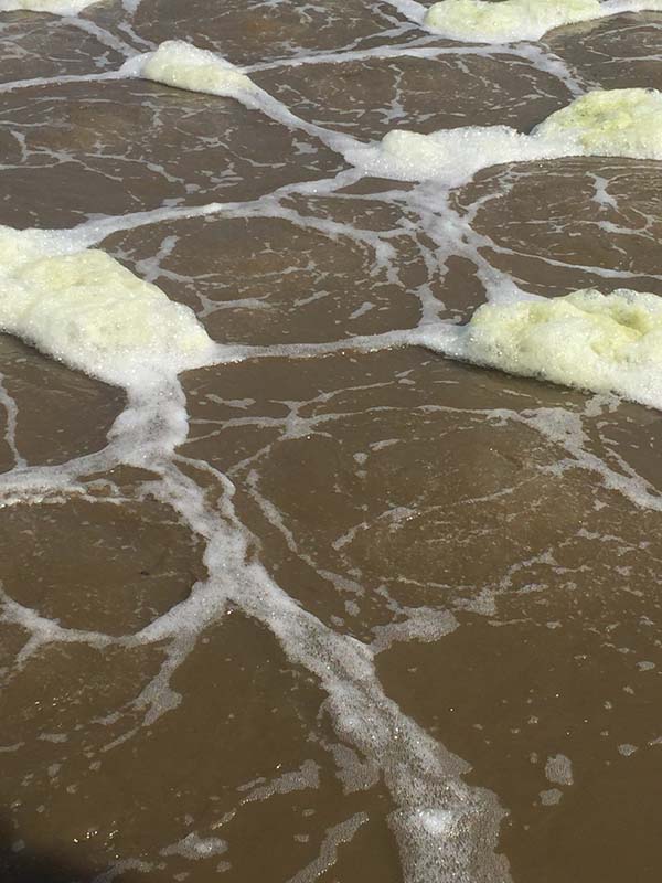 Chỉ số MLSS dùng để xác định nồng độ chất rắn lơ lửng trong bể sục khí.