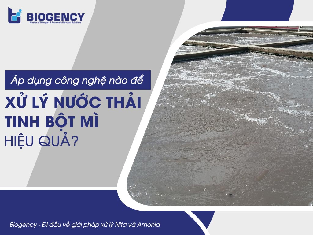 Áp dụng công nghệ nào để xử lý nước thải tinh bột mì hiệu quả?