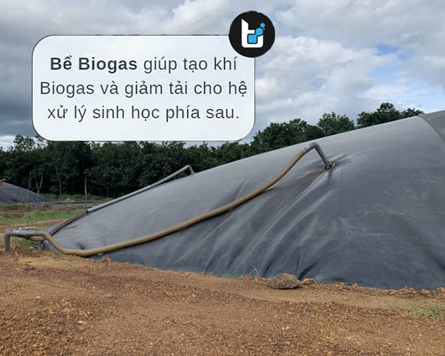 Giai đoạn xử lý yếm khí bằng hầm Biogas đóng vai trò quan trọng trong việc giảm tải cho các hệ xử lý thiếu khí và hiếu khí phía sau.