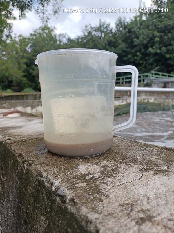 Hàm lượng bùn tăng nhanh sau khi sử dụng công nghệ vi sinh Microbe-Lift.