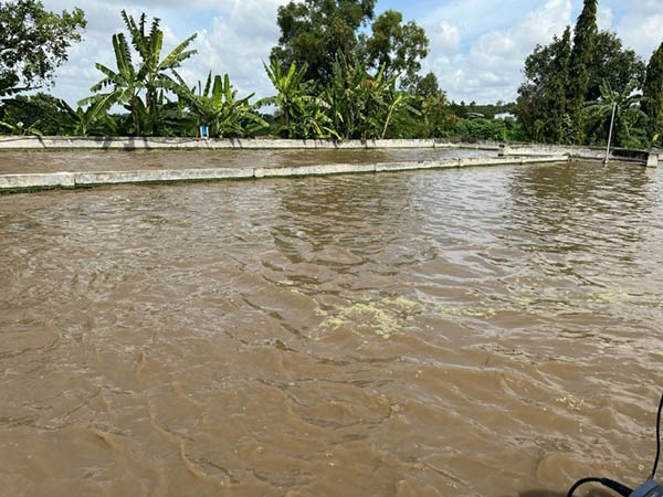 Hệ thống xử lý nước thải chế biến mủ cao su thiên nhiên.