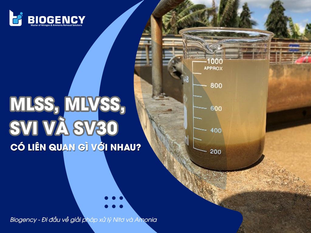 MLSS, MLVSS, SVI và SV30 có liên quan gì với nhau?