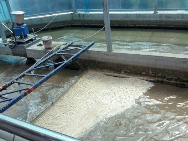 Nước thải nhiễm mặn có nồng độ muối hòa tan vượt QCVN 01:2009 (>300 mg/l).