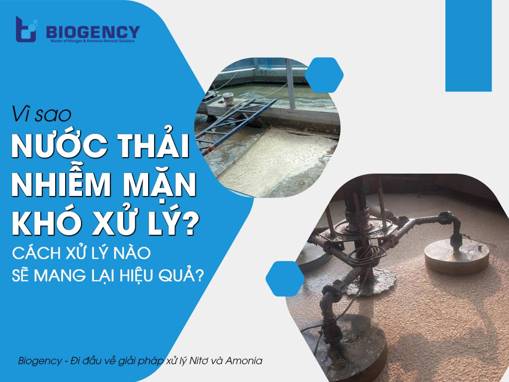 Vì sao nước thải nhiễm mặn khó xử lý? Cách xử lý nào sẽ mang lại hiệu quả?