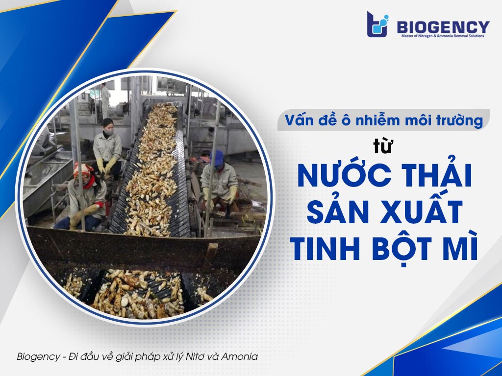 Vấn đề ô nhiễm môi trường từ nước thải sản xuất tinh bột mì