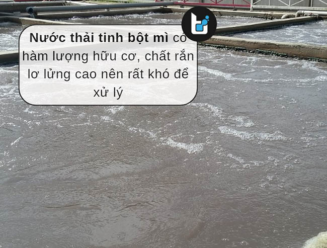 Nước thải tinh bột mì có hàm lượng hữu cơ, chất rắn lơ lửng cao nên rất khó để xử lý.