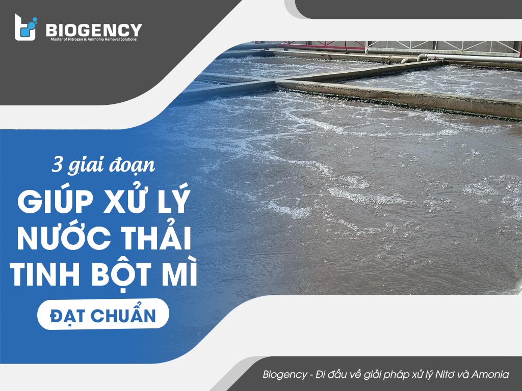 3 giai đoạn giúp xử lý nước thải tinh bột mì đạt chuẩn