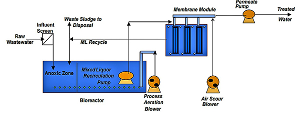Sơ đồ điển hình cho hệ thống phản ứng sinh học màng. Nguồn: FITZGERALD (2008).