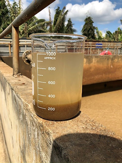 SVI và SV30 là hai chỉ số có quan hệ mật thiết với nhau.