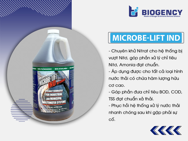 Men vi sinh Microbe-Lift IND không chỉ chuyên khử Nitrat cho hệ thống bị vượt Nitơ mà còn sở hữu nhiều khả năng quan trọng. 