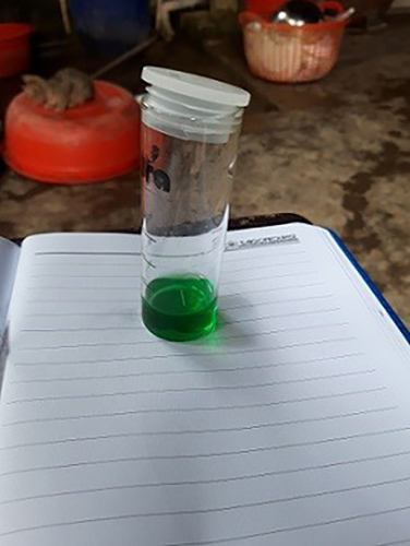 Ao tôm xuất hiện khí độc NH3 biểu hiện màu xanh khi được đo bằng test SERA.