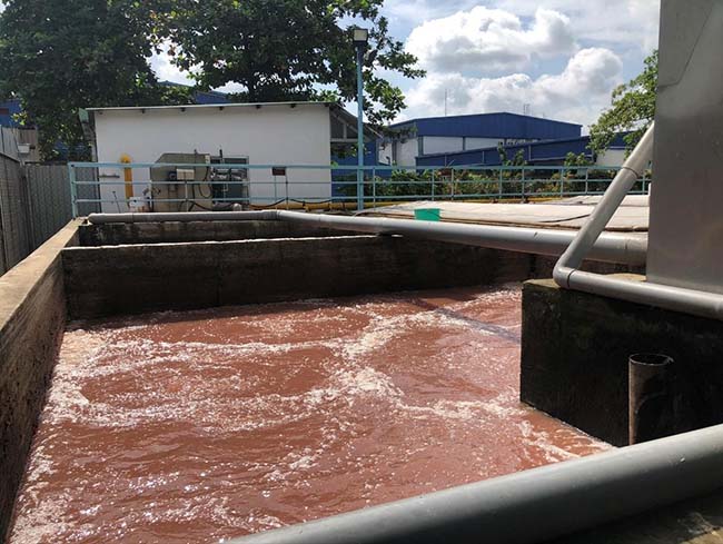 Bể điều hòa của hệ thống xử lý nước thải chế biến thực phẩm.