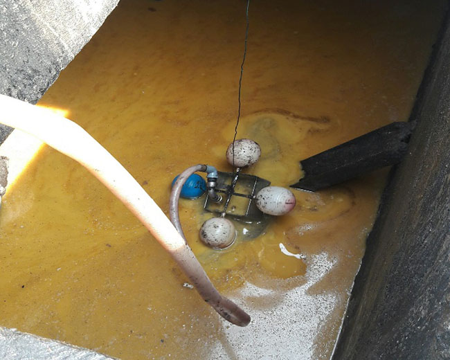 Bể mỡ và bể điều hòa trạm xử lý nước thải chế biến cá tra bị tích tụ nhiều mỡ lâu ngày.