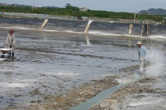 Cải tạo nước ao nuôi giúp ngăn chặn hình thành bùn đáy.