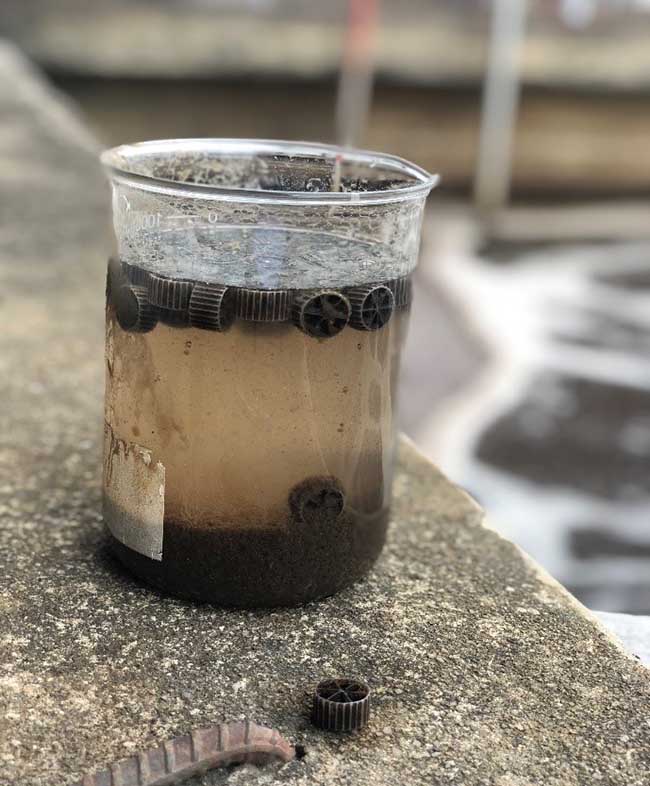 Giá thể trong bể MBBR.