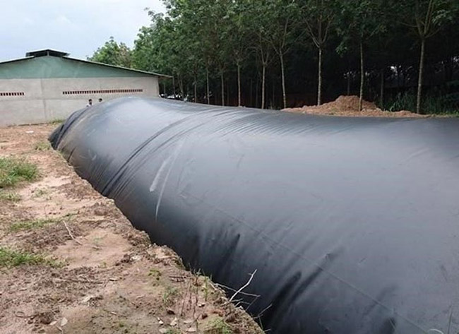 Hình ảnh hầm Biogas.