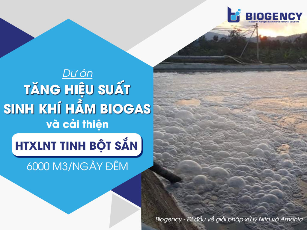 Dự án tăng hiệu suất sinh khí hầm Biogas và cải thiện HTXLNT tinh bột sắn 6000 m3/ngày đêm