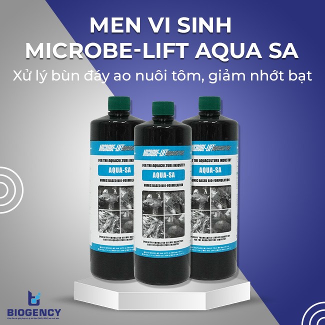 Men vi sinh Microbe-Lift AQUA SA có khả năng xử lý bùn đáy ao nuôi tôm hiệu quả vượt trội.