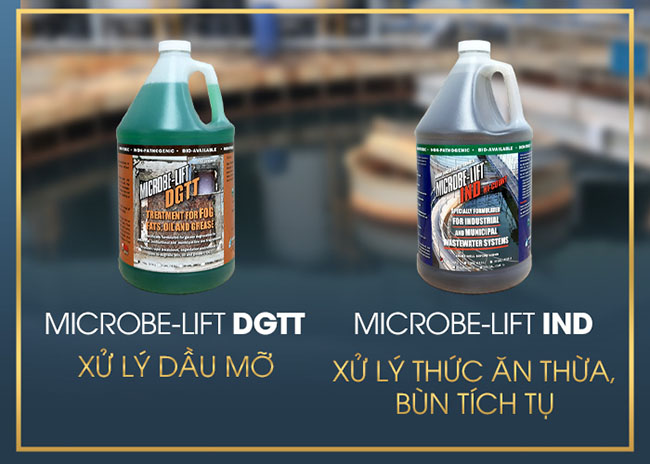 Men vi sinh Microbe-Lift DGTT và Microbe-Lift IND. Edit hình sản phẩm, text tương ứng với sản phẩm là: Xử lý dầu mỡ: Microbe-Lift DGTT, Xử lý thức ăn thừa, bùn tích tụ: Microbe-Lift IND