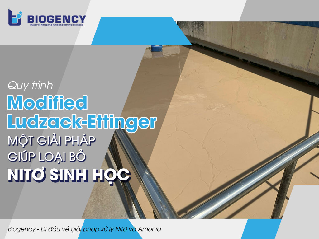 Quy trình Modified Ludzack-Ettinger - Một giải pháp giúp loại bỏ Nitơ sinh học