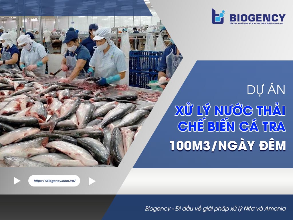 Dự án xử lý nước thải chế biến cá tra 100m3/ngày đêm