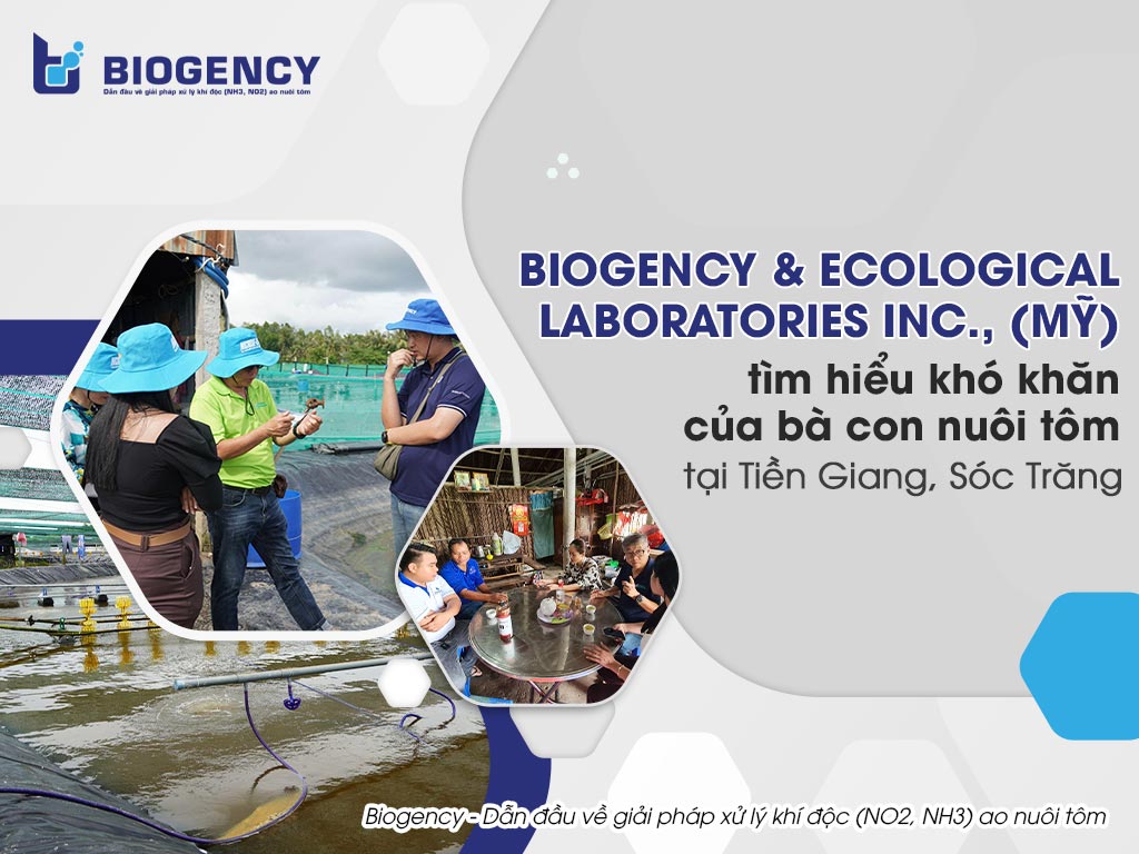 Biogency và Ecological Laboratories Inc., (Mỹ) tìm hiểu khó khăn của bà con nuôi tôm tại Tiền Giang, Sóc Trăng