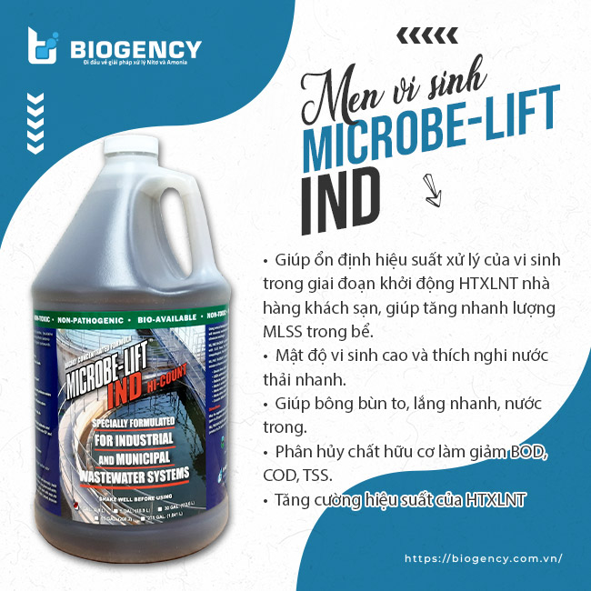 Men vi sinh Microbe-Lift IND hiệu quả trong nuôi cấy hệ vi sinh cho bể sinh học.