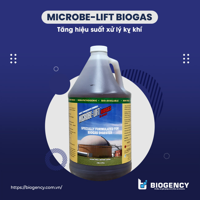 Men vi sinh Microbe-Lift BIOGAS giúp tăng hiệu suất xử lý kỵ khí.