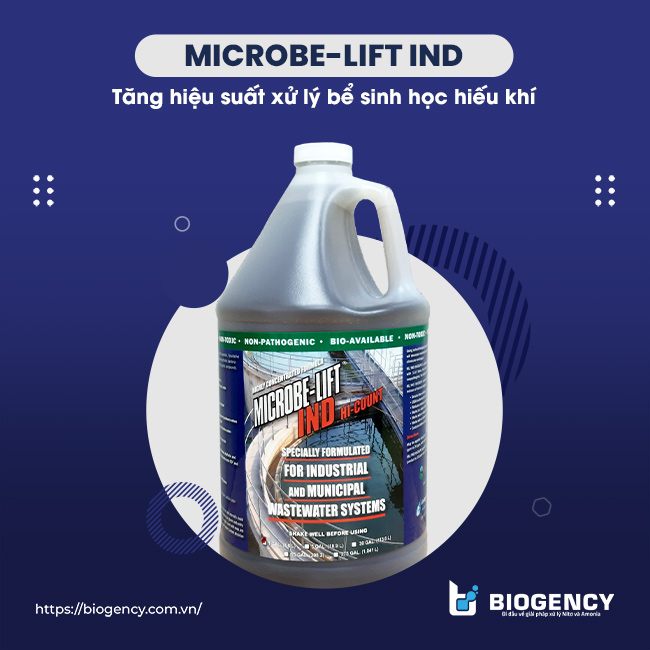 Men vi sinh Microbe-Lift IND giúp tăng hiệu suất xử lý bể sinh học hiếu khí.