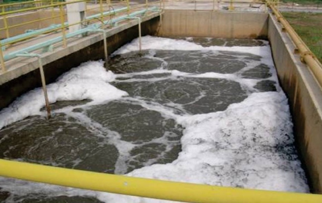 Bể vi sinh nổi bọt trắng, không ổn định.