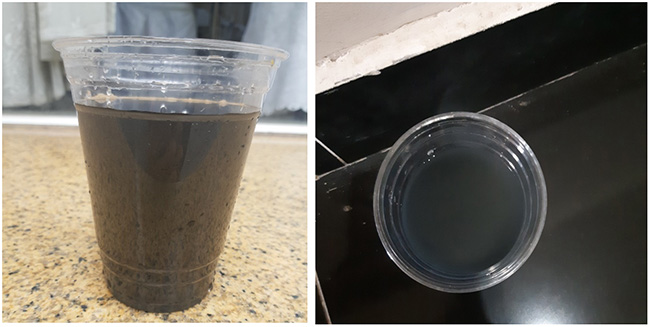 Bùn vi sinh ở bể hiếu khí.