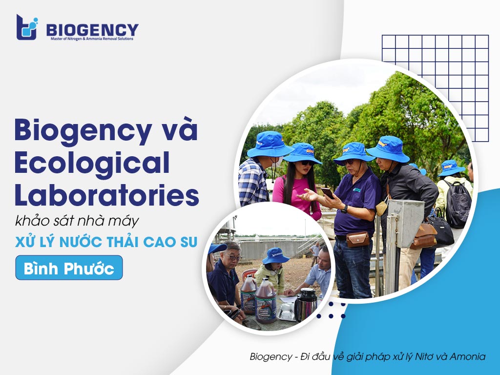 Biogency và Ecological Laboratories khảo sát nhà máy xử lý nước thải cao su, Bình Phước