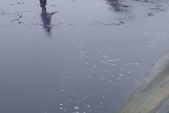 Hiện tượng bùn đáy xuất hiện trong ao nuôi tôm.