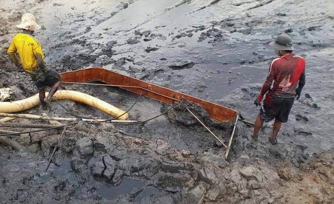 Hút bùn đáy ao nuôi tôm.