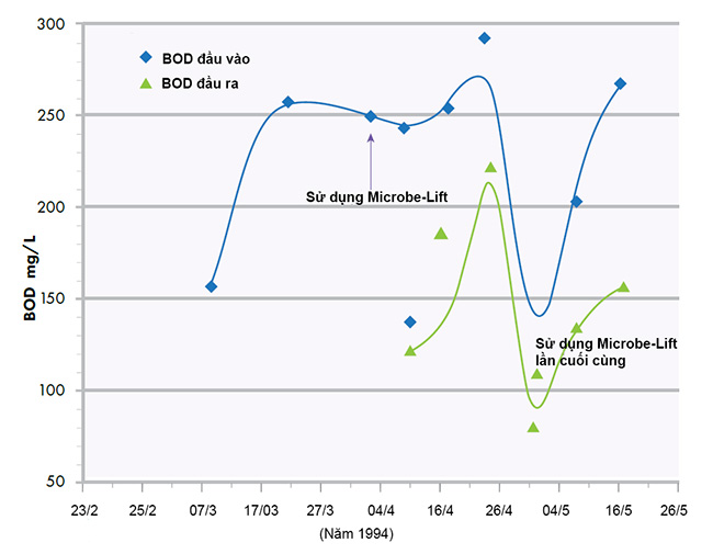 Kết quả BOD đầu vào so với đầu ra (trước, trong và sau khi ứng dụng sản phẩm Microbe-Lift).