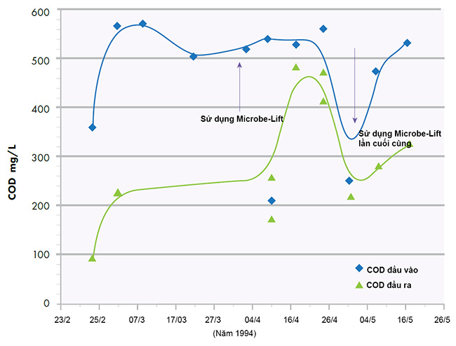 Kết quả COD đầu vào so với đầu ra (trước, trong và sau khi ứng dụng sản phẩm Microbe-Lift).