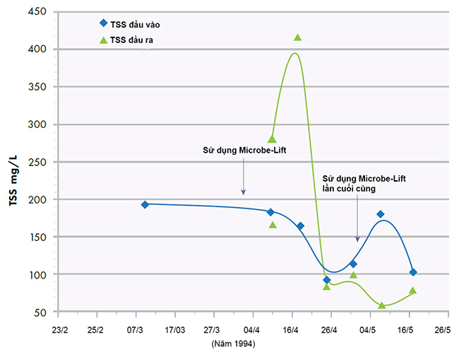 Kết quả TSS đầu vào so với đầu ra (trước, trong và sau khi ứng dụng sản phẩm Microbe-Lift).