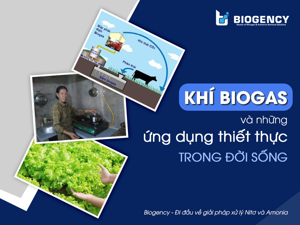 Hiệu quả của mô hình hầm khí biogas