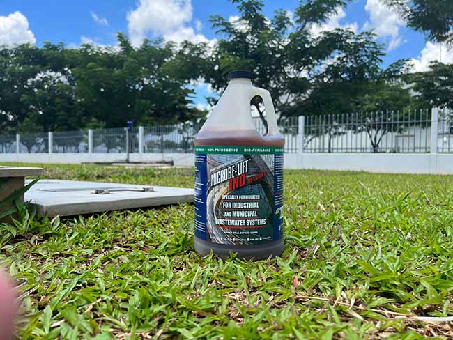 Men vi sinh Microbe-Lift (xuất xứ Mỹ) chứa các chủng vi sinh vật dị dưỡng: Bacillus lichenliformis, Pseudomonas citronellolis, Wolinella succinogenes.