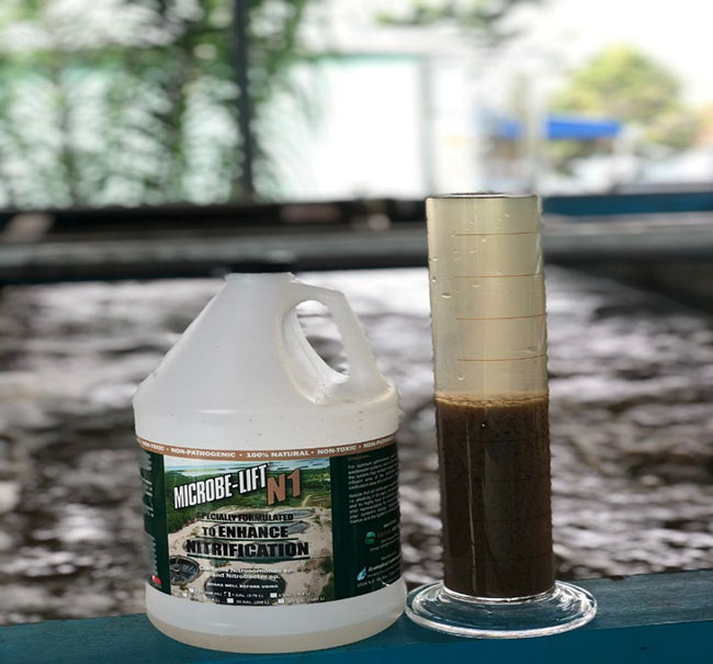 Men vi sinh Microbe-Lift N1 chuyên sử dụng để xử lý Nitơ, Amonia.