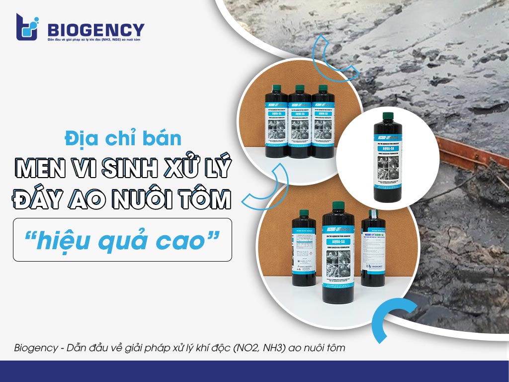 Địa chỉ bán Men vi sinh xử lý đáy ao nuôi tôm “hiệu quả cao”