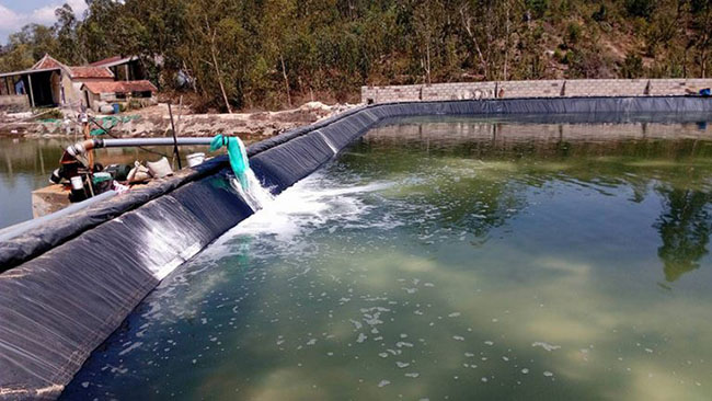 Nên xử lý nước nuôi trước khi bắt đầu thả tôm.