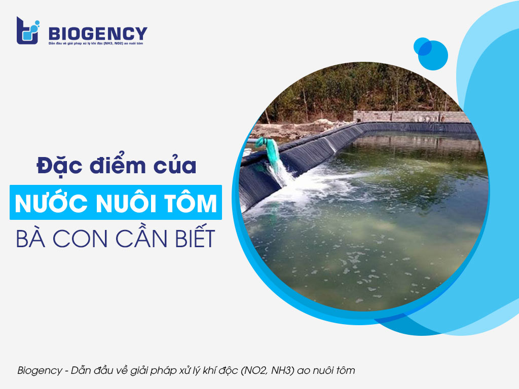 Đặc điểm của nước nuôi tôm bà con cần biết