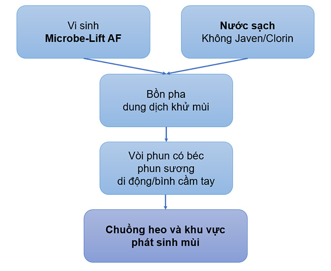 Quy trình sử dụng men vi sinh Microbe-Lift để phun xịt xử lý mùi hôi trại nuôi heo thịt trên quy mô 3000 con.